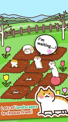 猫咪田园安卓版