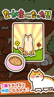 猫咪田园安卓版