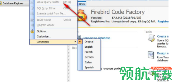 FirebirdCodeFactory数据库管理工具官方版