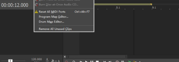 magixacidpro中文破解版