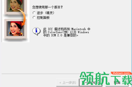 adobegamma显示器工具官方版