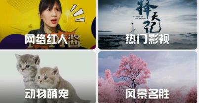 星动视频桌面安卓版