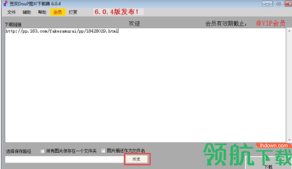 豆皮图片下载器绿色版