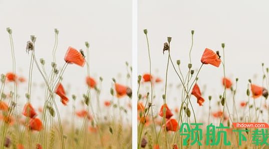 HDR Darkroom中文版