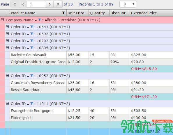 ASP.NET Report Maker 12破解版「附注册机」