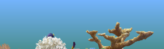 MarineAquarium3屏幕保护工具破解版(附注册码)
