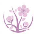 养生菜谱app