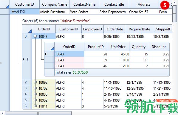 DevComponents DotNetBar破解版