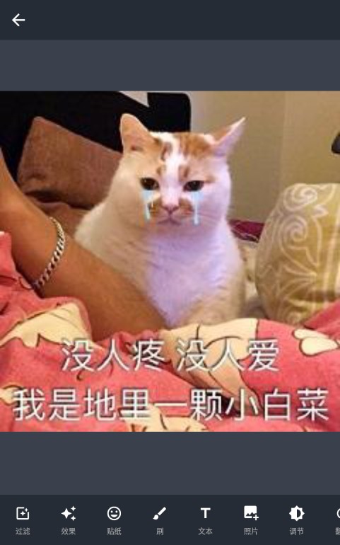 androvid pro破解版
