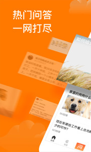 悟空问答兼职app