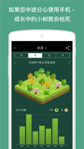 Forest专注森林
