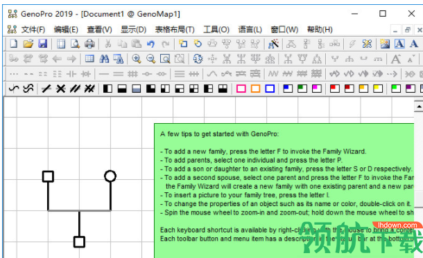 GenoPro家族族谱制作工具破解版