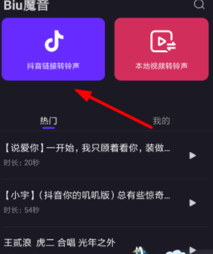 Biu魔音软件官方版