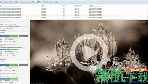 Arclab Watermark Studio破解版