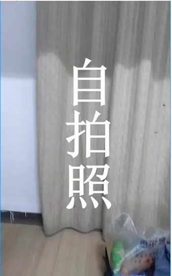 窗口相机手机版下载