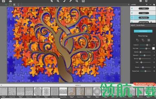 PuzziPix Pro破解版