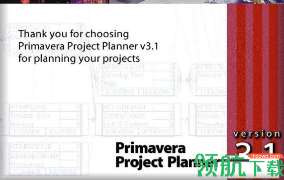 p3项目管理软件汉化破解版