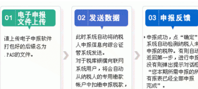 四川省国税网上申报系统客户端官方版