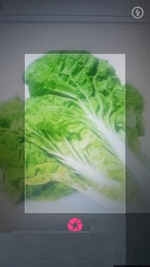 拍照识物手机版