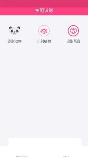 拍照识物手机版