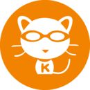 kk录像机手机版