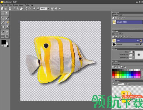 Pixelformer软件
