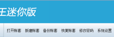 财务王迷你版客户端官方版