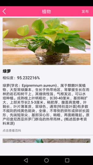 图片识别