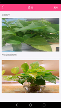 图片识别