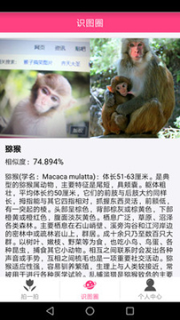 图片识别