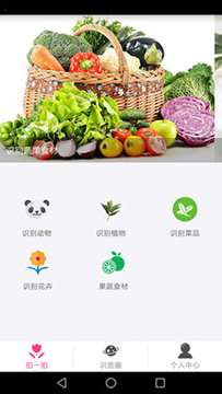 图片识别
