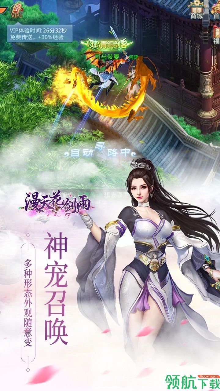 漫天花剑雨安卓版