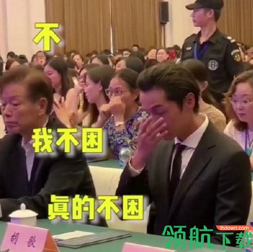 胡歌真的困了表情包