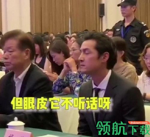 胡歌真的困了表情包