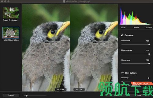 WidsMob Denoise破解版