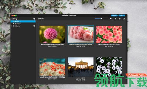 WidsMob PhotoVault破解版