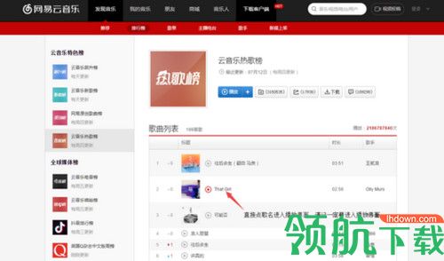 灰鸿牌网易云音乐下载器