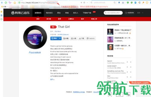灰鸿牌网易云音乐下载器