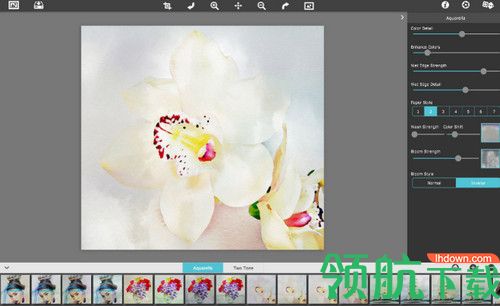 JixiPix Premium Pack破解版