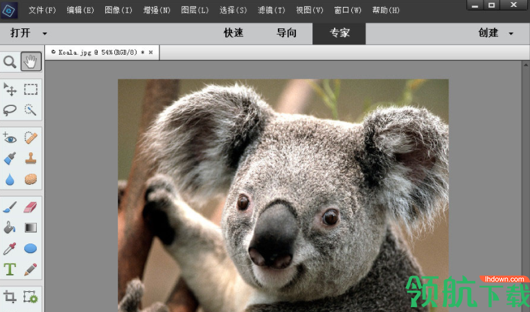 AdobePhotoshopElements2020破解版