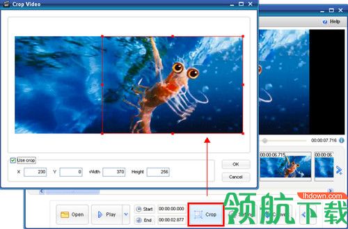 ThunderSoft Video to GIF Converter破解版