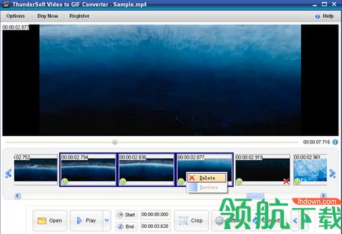 ThunderSoft Video to GIF Converter破解版