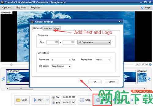 ThunderSoft Video to GIF Converter破解版