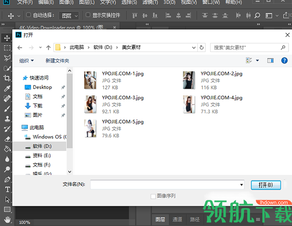 FastPictureViewerCodecPackPro中文破解版