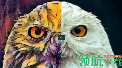 Painter Essentials 7破解版