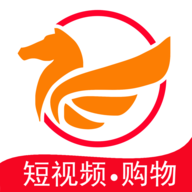 小飞马安卓版