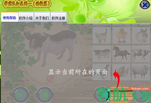 嘉嘉学前动物认知