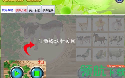 嘉嘉学前动物认知