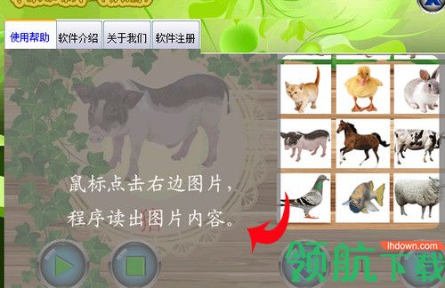 嘉嘉学前动物认知