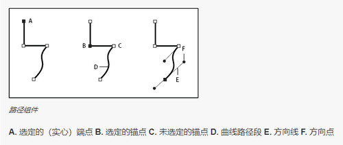Adobe Illustrator CC 2020破解版